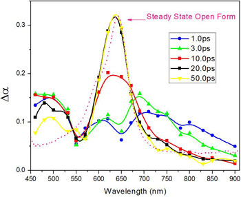 Fast dynamics of SPO1 transformed from colorless form (closed form) to colored form (open form)